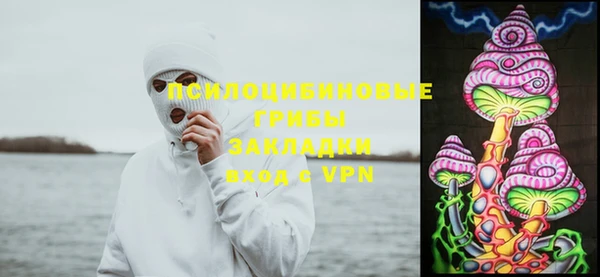 первитин Арсеньев