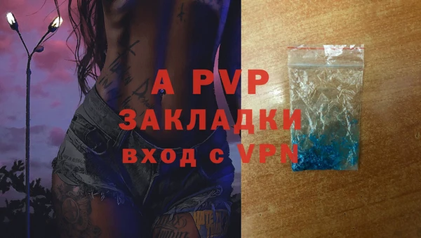 СК Аркадак