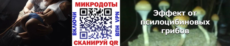 хочу   Серов  Галлюциногенные грибы Psilocybe 